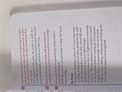 Lot Of 2 The Worst Case Scenario Survival Handbook: Travel J. Piven, D. Borgen