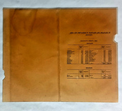 Maryland & Delaware Dodd Mead & Co map 1891 12 x 10 ins