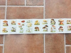 Brochure Pilze Piccolo Atlante Dei Funghi Di Schreiber Tedesco Old Atlas Rare