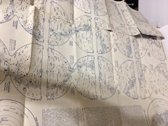 A Map of The Heavens, National Geographic, Folded Poster/Chart Horoscope ￼1957