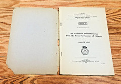 Lot 5 Canada Department of Mines Geological Surveys Paleontology Geology Vintage