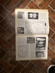 Hammond’s Pictorial World Atlas Family Library Edition 1956 Wm. H. Wise & Co.