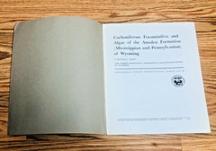 Lot United States Geological Survey Professional Paper USGS Geology Paleontology