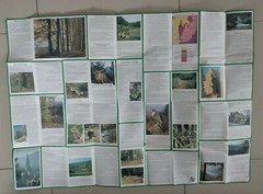 Germany: Odenwald Sudwest Nature Park Folding Paper Map.