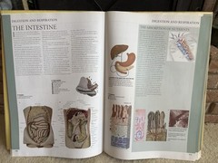 HUMAN ANATOMY Book by TAJ Books 2002 17”x24” 9lb 160 pages Exc Condition