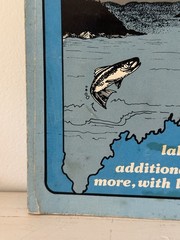 DeLorme Maine 115 Fishing Maps Lakes, Ponds, Counties, Towns, Depths, Fish 1980