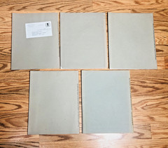 Lot United States Geological Survey Professional Paper USGS Geology Paleontology