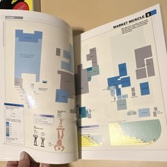 The New State of the World Atlas 4th Edition Kidron Segal Trade Paperback