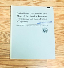 Lot United States Geological Survey Professional Paper USGS Geology Paleontology