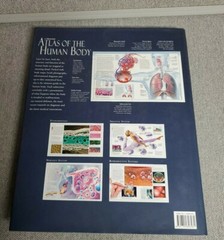 The Illustrated Atlas of the Human Body by Beverly McMillan Coffee Table Book