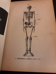 Hand Atlas of Human Anatomy by Werner Spalteholz
