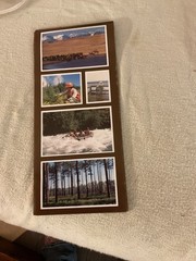 A Guide To Your National Forests Pamphlet/Map