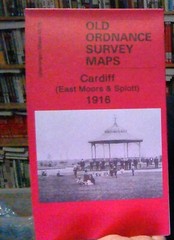 MAP OF Cardiff East Moors & Splott 1916 Glamorgan Sheet 43.16 NEW 9781847842947