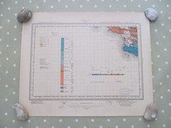 VINTAGE GEOLOGICAL MAP LINNEY HEAD PEMBOKESHIRE SHEET 244 GEOLOGICAL SURVEY 1921