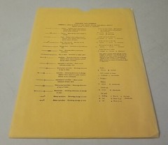 USGS Geologic Map Tillie Hall Peak Quadrangle, Greenlee Arizona Grant County NM