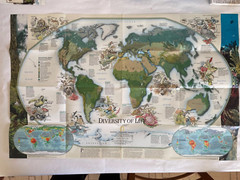 National Geographic :- Millennium in Maps BIODIVERSITY 2 Sides Map December ’97