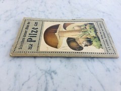 Brochure Pilze Piccolo Atlante Dei Funghi Di Schreiber Tedesco Old Atlas Rare