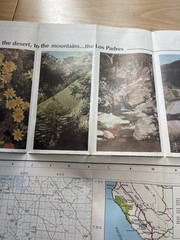 LOS PADRES NATIONAL FOREST MAP – Vintage Map 1984