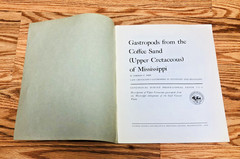Lot United States Geological Survey Professional Paper USGS Geology Paleontology