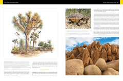 National Geographic Atlas of the National Parks