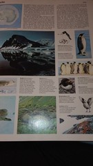 Vintage The World Book Atlas Hardbacl Reference Book Maps Geography 1981