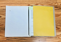 Lot United States Geological Survey Professional Paper USGS Geology Paleontology