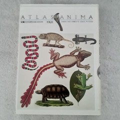 Rare Japanese Animal Atlas 3 w/Cover Frog Amphibian Snake Zoo Reptile Collector