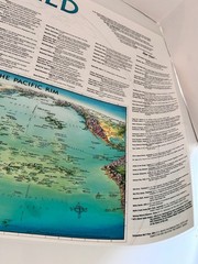 Unique Media Maps Laminated 3D Map ‘The World’ Artistic Illustration 1996