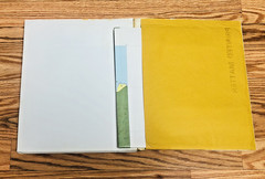 Lot United States Geological Survey Professional Paper USGS Geology Paleontology