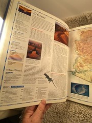 Readers Digest Atlas of America